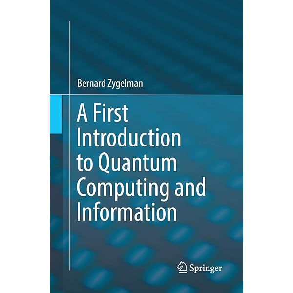 A First Introduction to Quantum Computing and Information